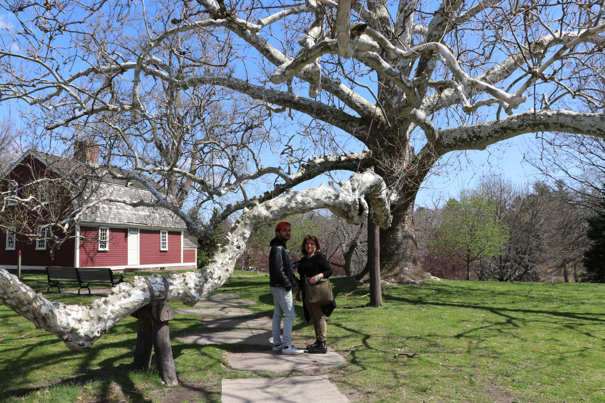 Sabry Elio Betsy Williams sycamore