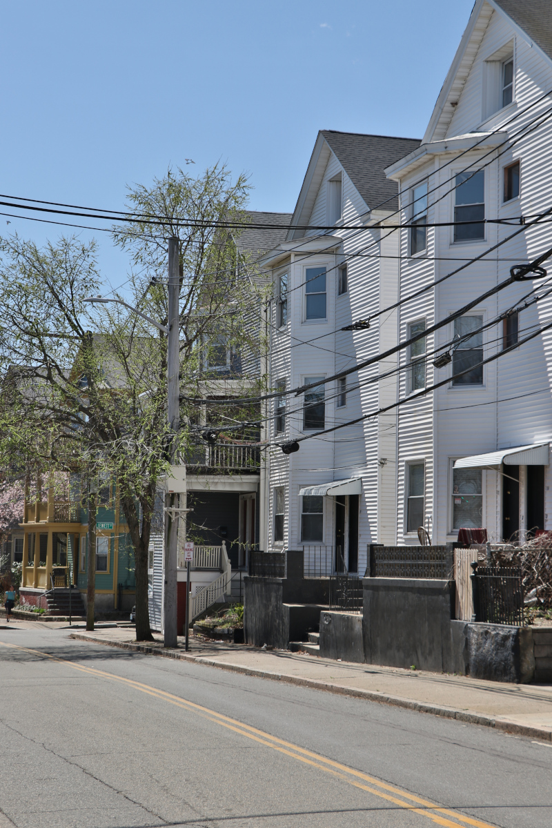 Scorcio del luogo in B/N. Elaborazione albero