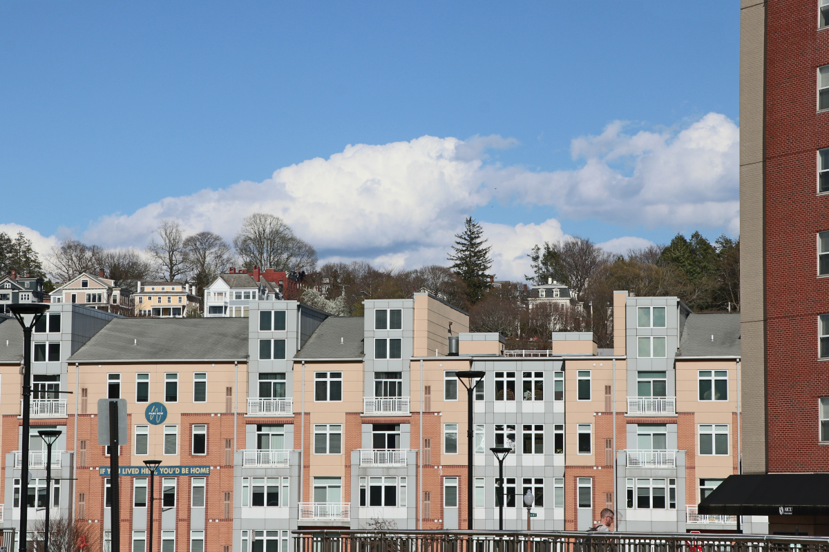 Scorcio del luogo in B/N. Elaborazione albero