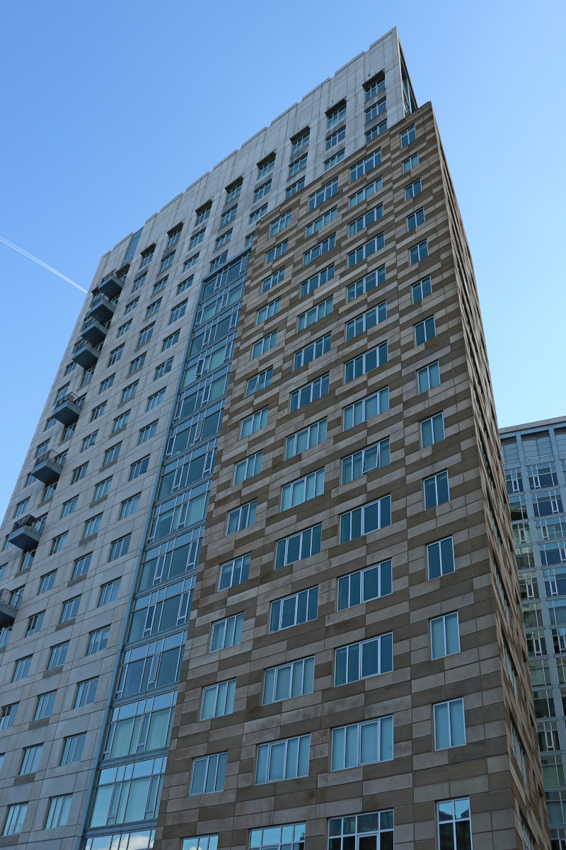 Scorcio del luogo in B/N. Elaborazione albero