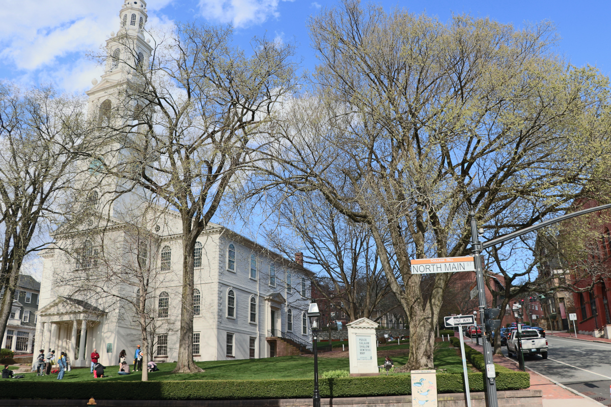 Scorcio del luogo in B/N. Elaborazione albero