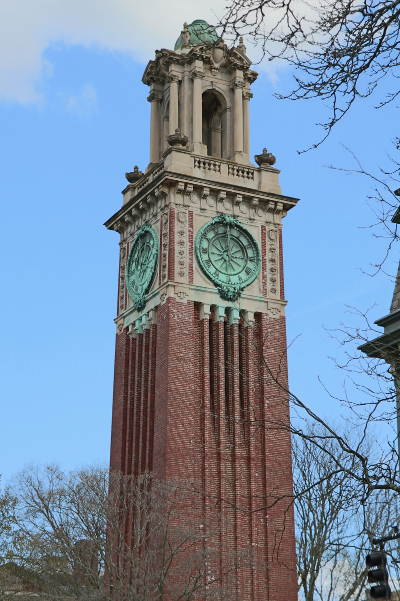 Scorcio del luogo in B/N. Elaborazione albero