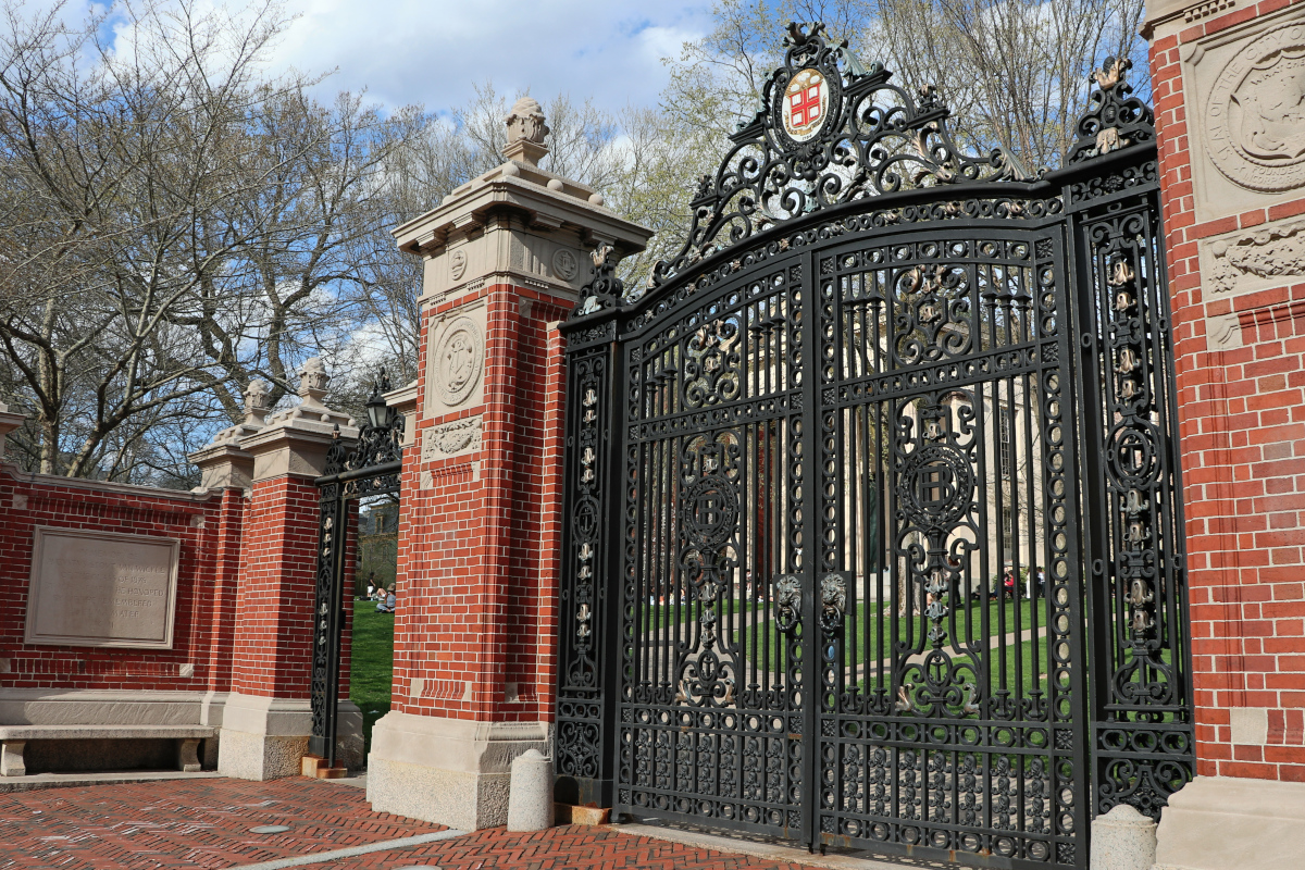 Ingresso università