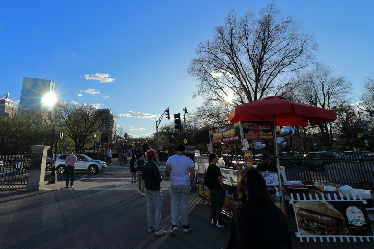 Boston Public Garden
