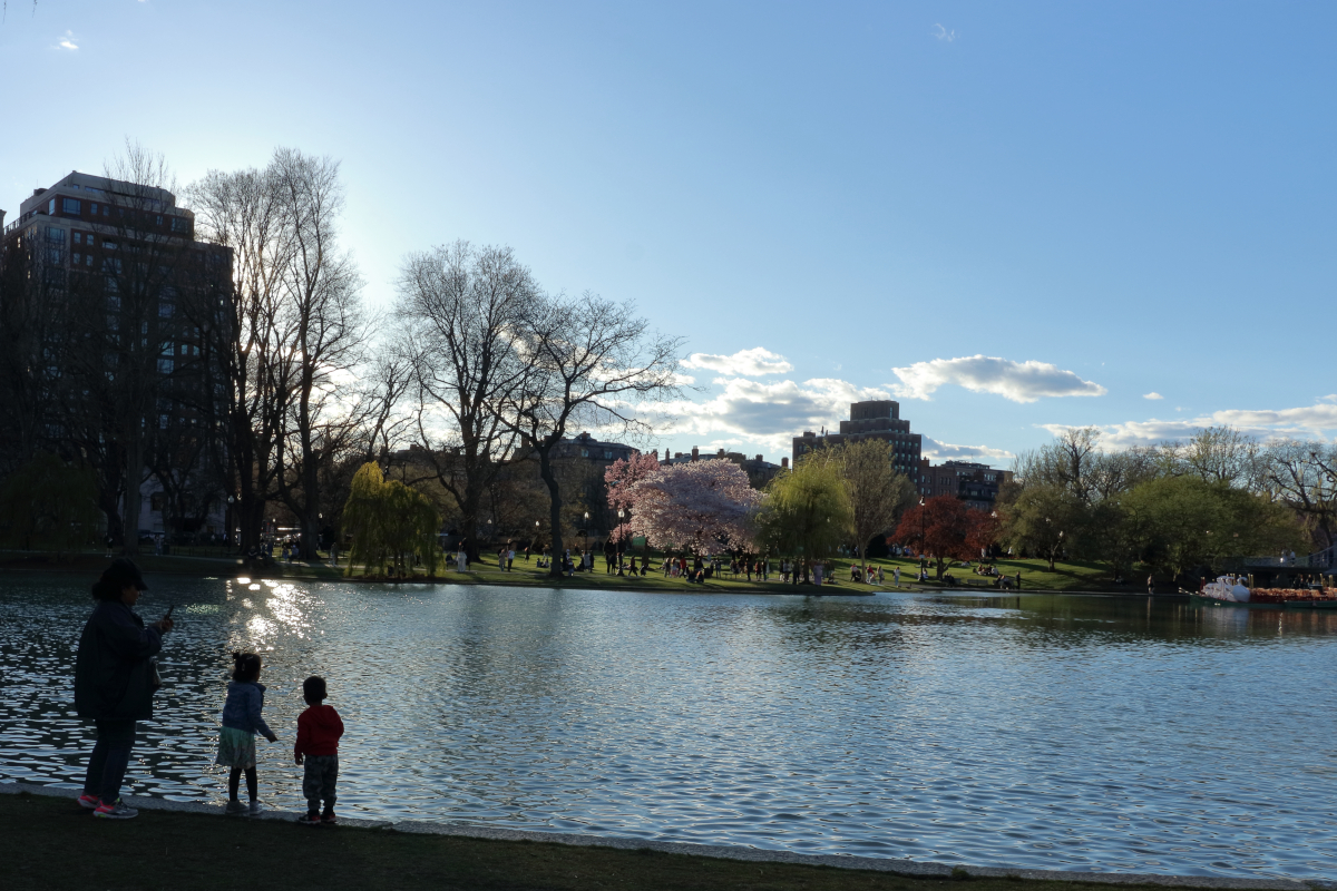 Boston Public Garden