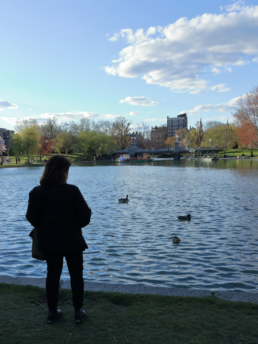 Boston Public Garden