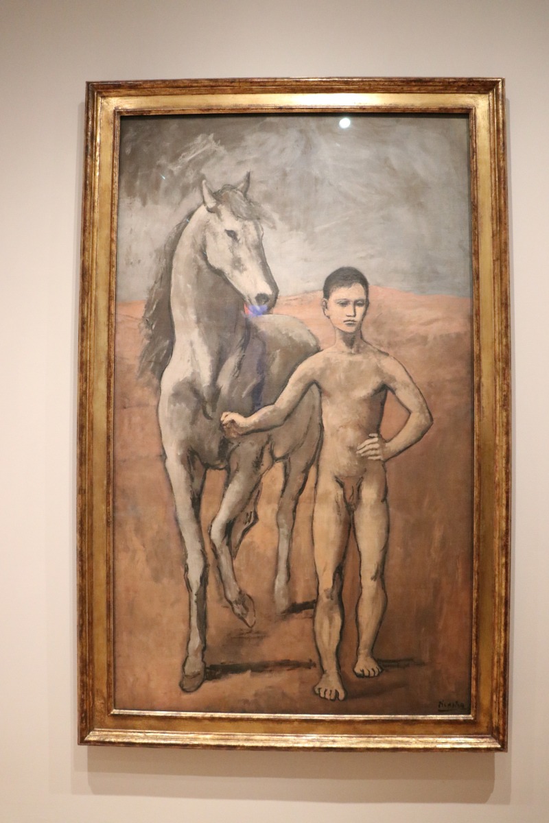 Ragazzo che conduce un cavallo